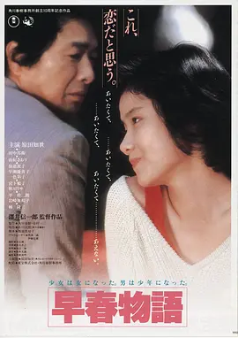 电影《大话西游之月光宝盒》海报